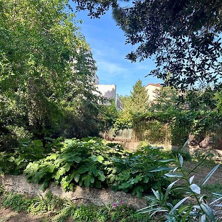 Appartement Avec Jardin Prive A 2Min De La Plage Banyuls-sur-Mer Extérieur photo