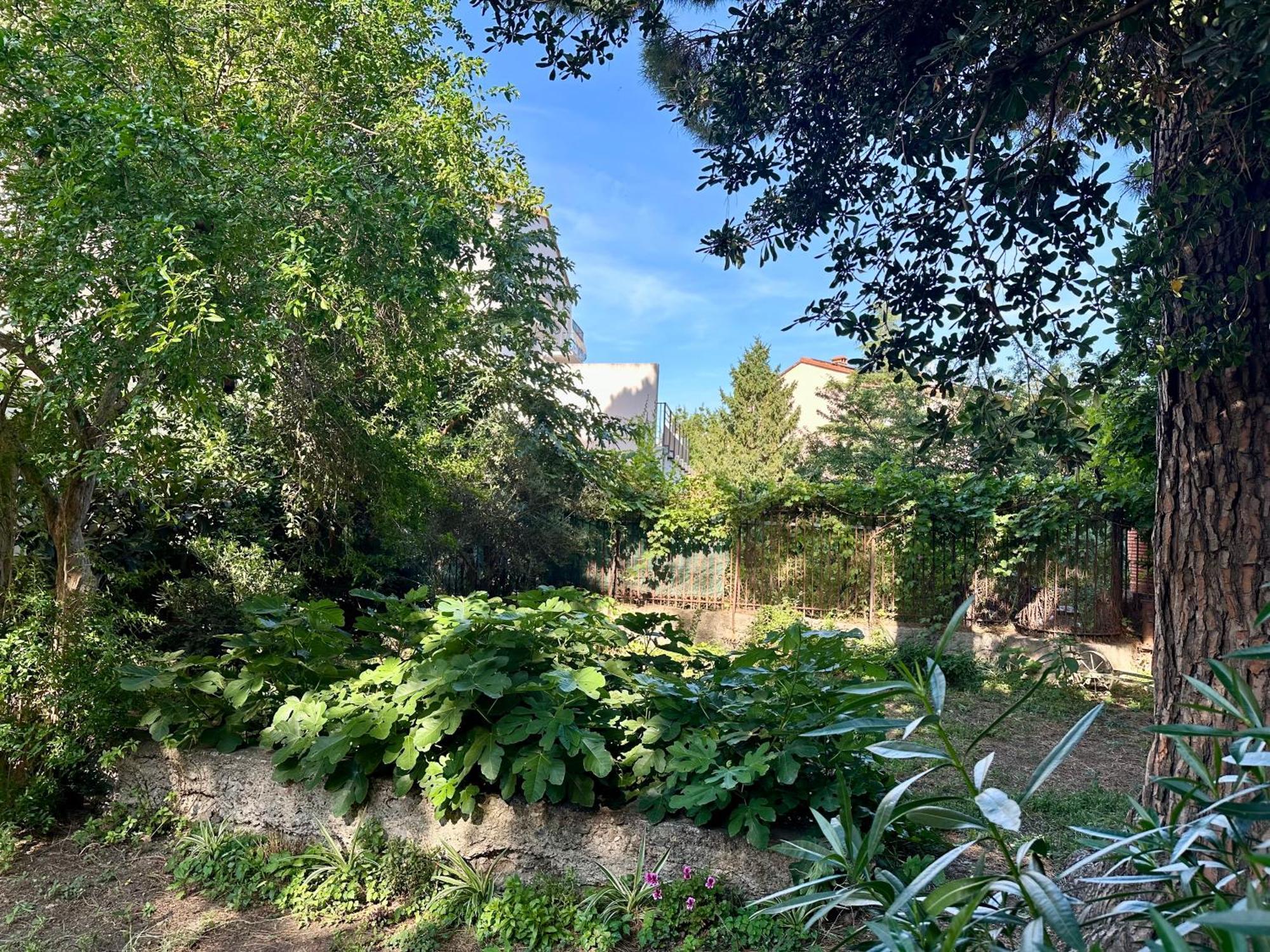 Appartement Avec Jardin Prive A 2Min De La Plage Banyuls-sur-Mer Extérieur photo
